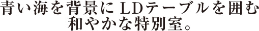海辺の住まいのようなつくりの特別室。